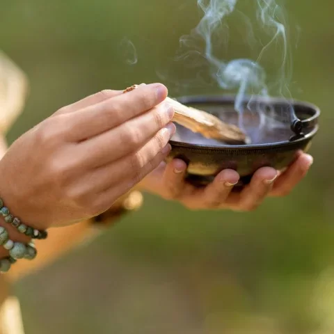 Palo Santo ramito - Imagen 2